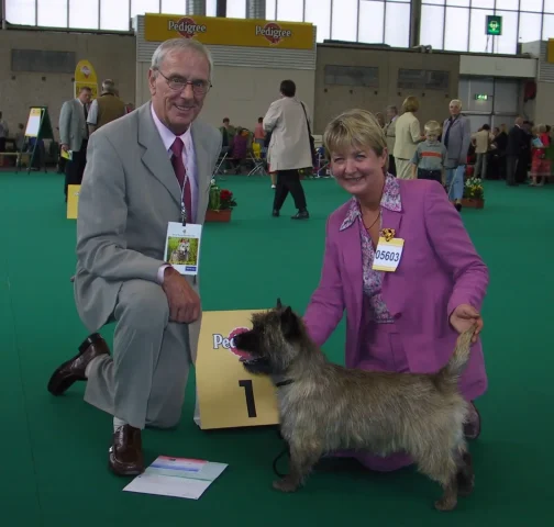 Ch shearwater cae de sonhas winning at the world show with ann wall and judge frank edwards
