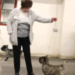 Cairngold Claim To Fame 2nd Limit Bitch Manchester